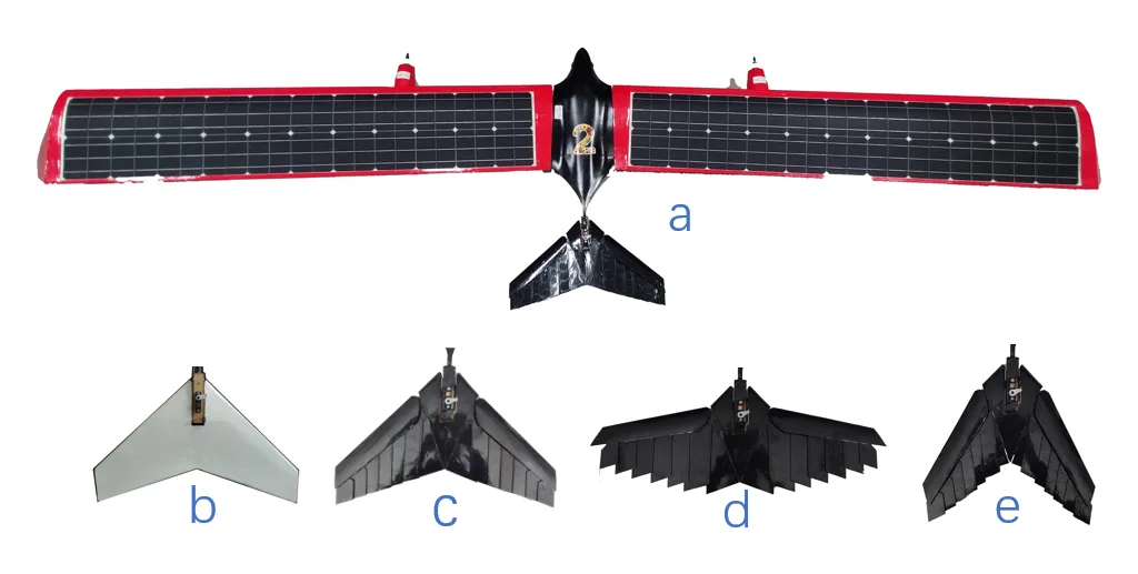 Bird-inspired solar aircraft and feather-inspired morphing-tail configurations